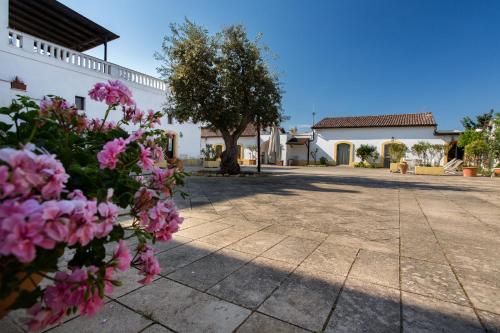 Hotel Tenuta del Barco