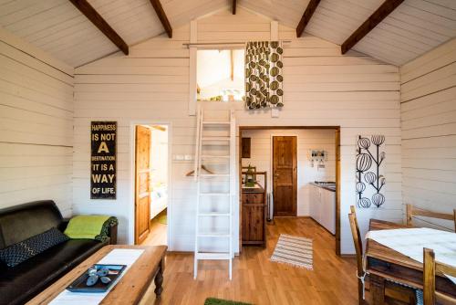 Konyha, Geysir Hestar in Haukadal Konyha, Geysir Hestar in Haukadal