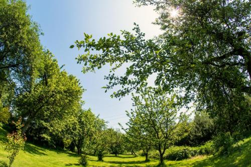 A környék, Agroturystyka Oswiecim in Skidzin A környék, Agroturystyka Oswiecim in Skidzin