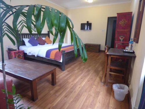 Micasa Apartment
Micasa Apartment