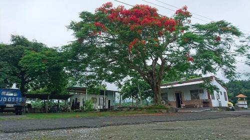 DOWN HWA NO.8 in Shoufeng Township DOWN HWA NO.8 in Shoufeng Township