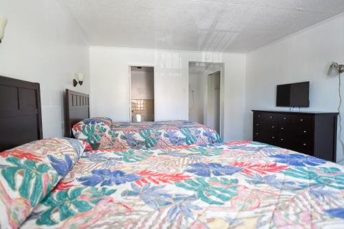 在meiguo.com看到的卡罗来纳塔尔希汽车旅馆的介绍图片