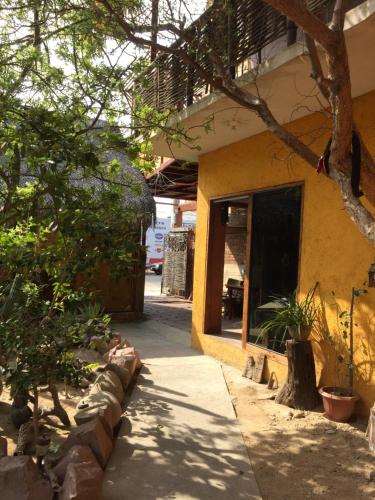 Garden, Pension Baja Paradise in La Paz Garden, Pension Baja Paradise in La Paz