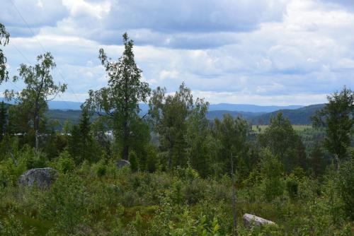 Mieps Huset Dalarna Holiday in ใจกลางเมืองฟาลุน Mieps Huset Dalarna Holiday in ใจกลางเมืองฟาลุน