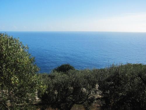 View, Foresta Forte - Ciolo in Gagliano del Capo View, Foresta Forte - Ciolo in Gagliano del Capo