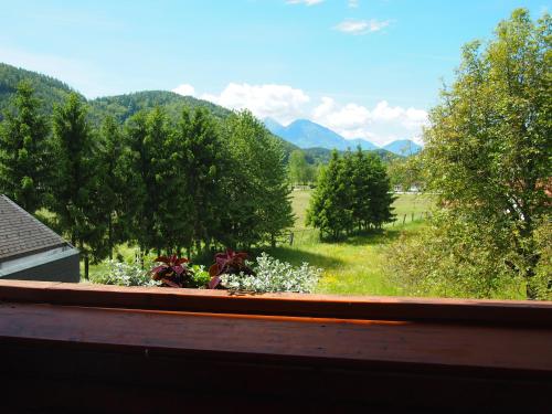 Pension Tulpe Hotel