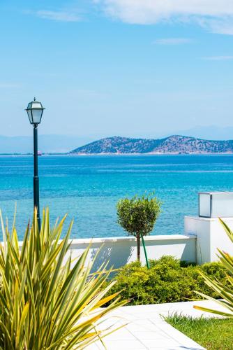 Balcony/terrace, Mythodea Apartments in Thassos Balcony/terrace, Mythodea Apartments in Thassos