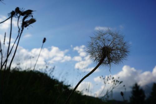 This photo about Haus Buhlen shared on HyHotel.com