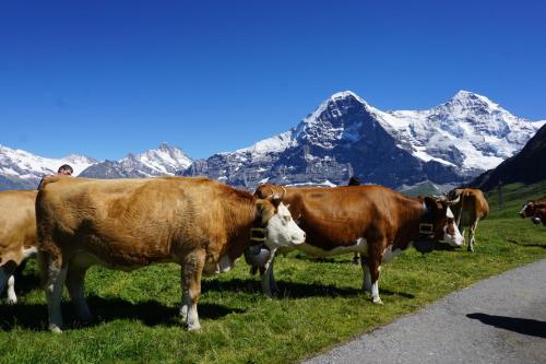 This photo about Haus Buhlen shared on HyHotel.com