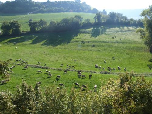Vistas, La Reine des prés Chambres d'Hôtes (La Reine des pres Chambres d'Hotes) in Gages Vistas, La Reine des prés Chambres d'Hôtes (La Reine des pres Chambres d'Hotes) in Gages