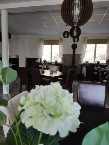 餐廳, Olivin Kytlice in 基特利察 餐廳, Olivin Kytlice in 基特利察