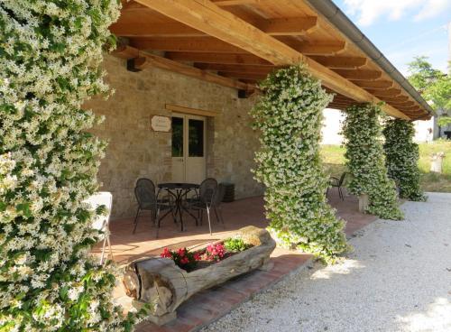 ห้องฟิตเนส, Agriturismo Casale delle Lucrezie in ซาน ดาเมียโน ห้องฟิตเนส, Agriturismo Casale delle Lucrezie in ซาน ดาเมียโน