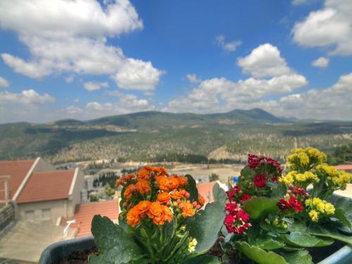 View, Nofesh Baatika in Safed View, Nofesh Baatika in Safed