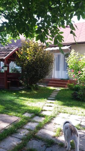 This photo about Csikasz Vendeghaz shared on HyHotel.com