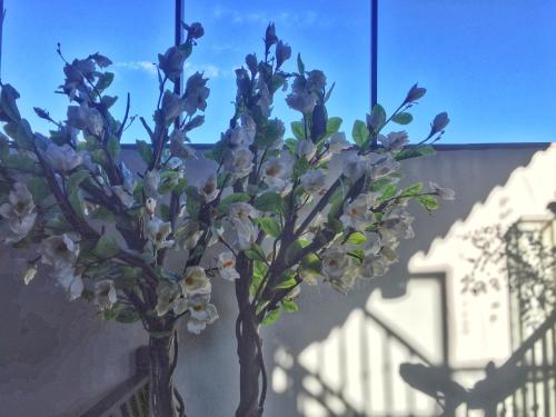 This photo about Heshun Xinyue Boutique Inn shared on HyHotel.com