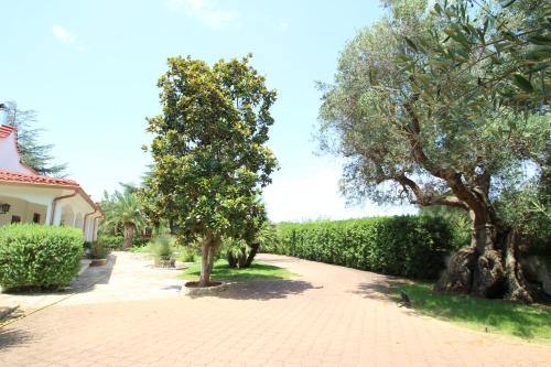 Entrance, Piccinnu - apartment and spacious grounds in San Vito dei Normanni Entrance, Piccinnu - apartment and spacious grounds in San Vito dei Normanni
