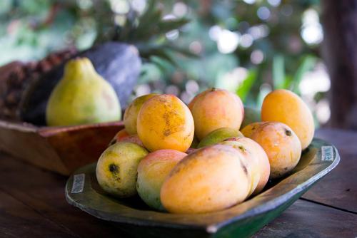 This photo about La Sirena Eco Hotel & Retreat shared on HyHotel.com