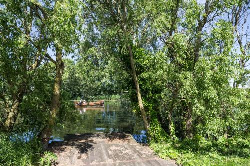 Балкон, De Groote Wijzend in Ліс Балкон, De Groote Wijzend in Ліс