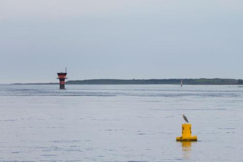 This photo about Portaferry Hotel shared on HyHotel.com