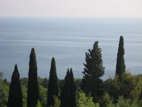 This photo about Akvarel Guest House shared on HyHotel.com