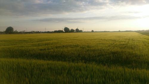 Surrounding environment, Het Vlieghuisje in Coevorden Surrounding environment, Het Vlieghuisje in Coevorden
