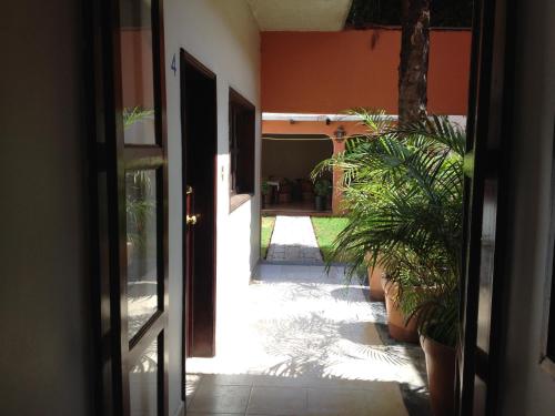 Hostel Inn in San Miguel De Allende Hostel Inn in San Miguel De Allende