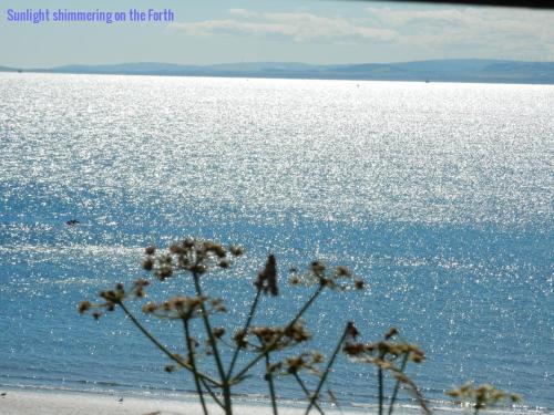 Beach, Cardinals Folly in Kinghorn Beach, Cardinals Folly in Kinghorn