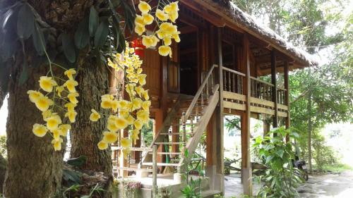 Linh Soi Homestay
