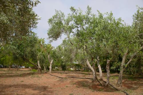 This photo about Myrtiana Villa shared on HyHotel.com