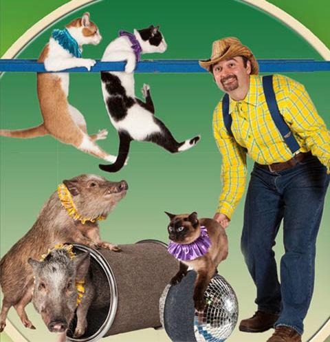 This photo about Cedar Falls (#8) - Three Bedroom shared on HyHotel.com