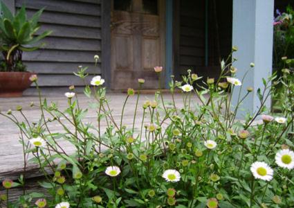 This photo about Allenvale shared on HyHotel.com