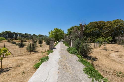 View, Villa dei Primi by BarbarHouse in Matino View, Villa dei Primi by BarbarHouse in Matino