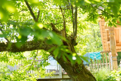 This photo about Estiva Resort shared on HyHotel.com