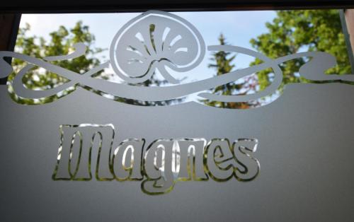 Single Room room in Hotel Magnes
