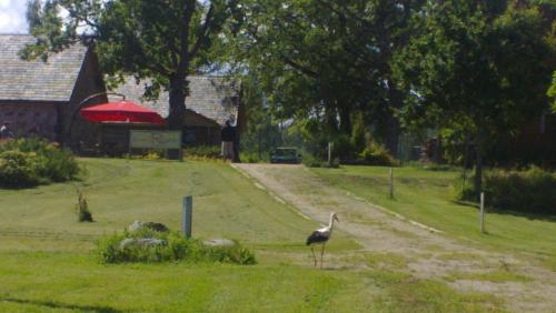 This photo about Rederi shared on HyHotel.com