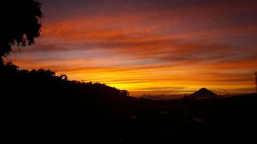 Bajawa-Roo Hotel in Ende Bajawa-Roo Hotel in Ende