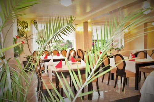 Létesítmények, Hotel Crisalpin in Poiana Brasov Létesítmények, Hotel Crisalpin in Poiana Brasov