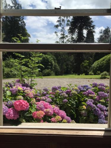 Ballyteige Lodge in Other Ballyteige Lodge in Other