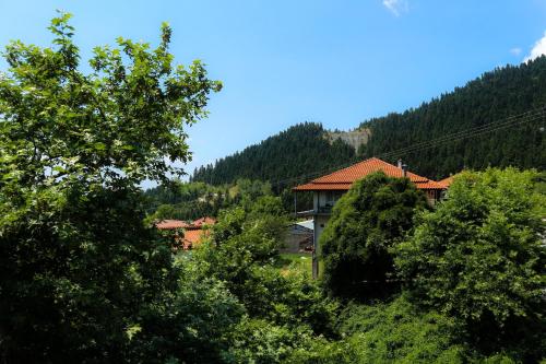 A környék, Hotel Elatofilito in Athamanio A környék, Hotel Elatofilito in Athamanio