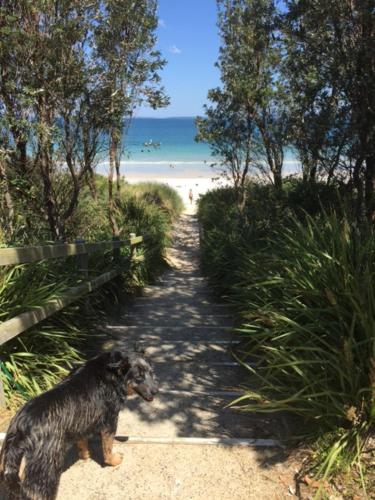 Paradise by the Bay in Callala Bay Paradise by the Bay in Callala Bay