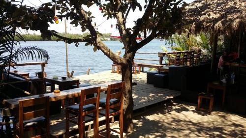 Banyan Tree