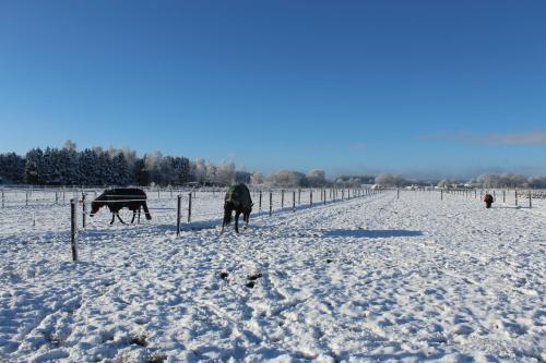 't Hoeske in Exloo 't Hoeske in Exloo