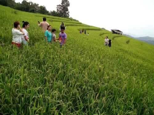 This photo about Baan Kub Doi Mae Chaem shared on HyHotel.com