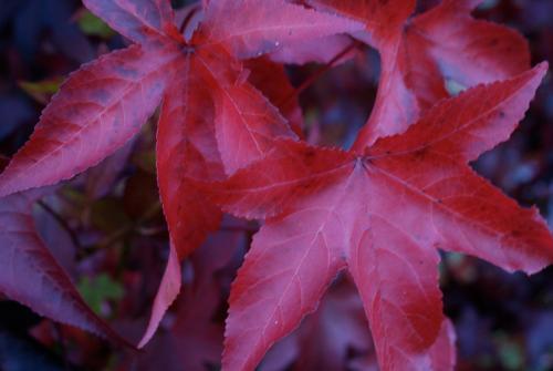 This photo about Yallambee B&B shared on HyHotel.com