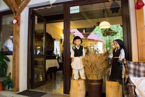 Pensiunea Domnescu in Tilisca Pensiunea Domnescu in Tilisca