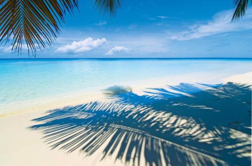 Sports and activities, Le BDM PLAYITA in Las Galeras Sports and activities, Le BDM PLAYITA in Las Galeras