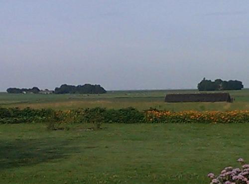 Ûnderdak (Underdak) in Warns Ûnderdak (Underdak) in Warns