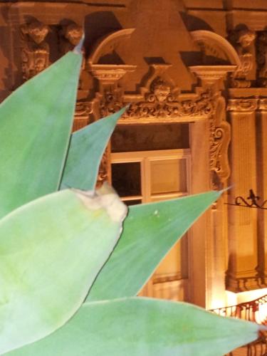 Original Suite con Terrazzo e Cucinotto
Original Suite con Terrazzo e Cucinotto