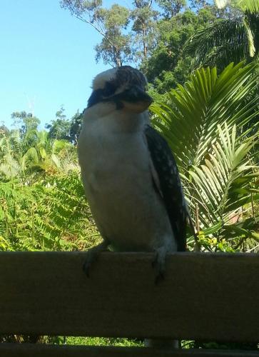 This photo about Tropic Oasis shared on HyHotel.com