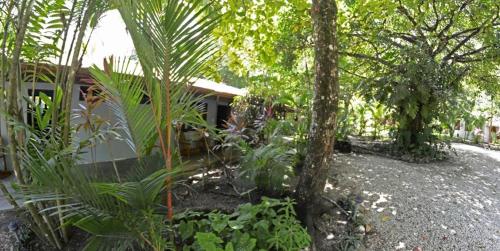 Indigo Yoga Surf Resort in Malpais Indigo Yoga Surf Resort in Malpais